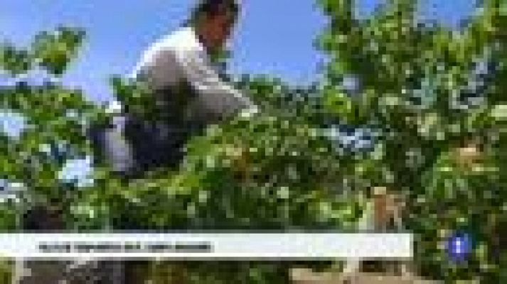 Noticias Aragón - Noticias Aragón - 03/05/2019