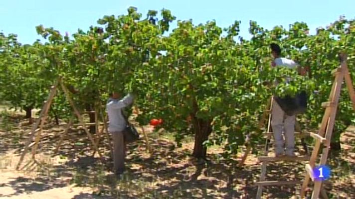 Noticias Aragón - Noticias Aragón - 03/05/2019