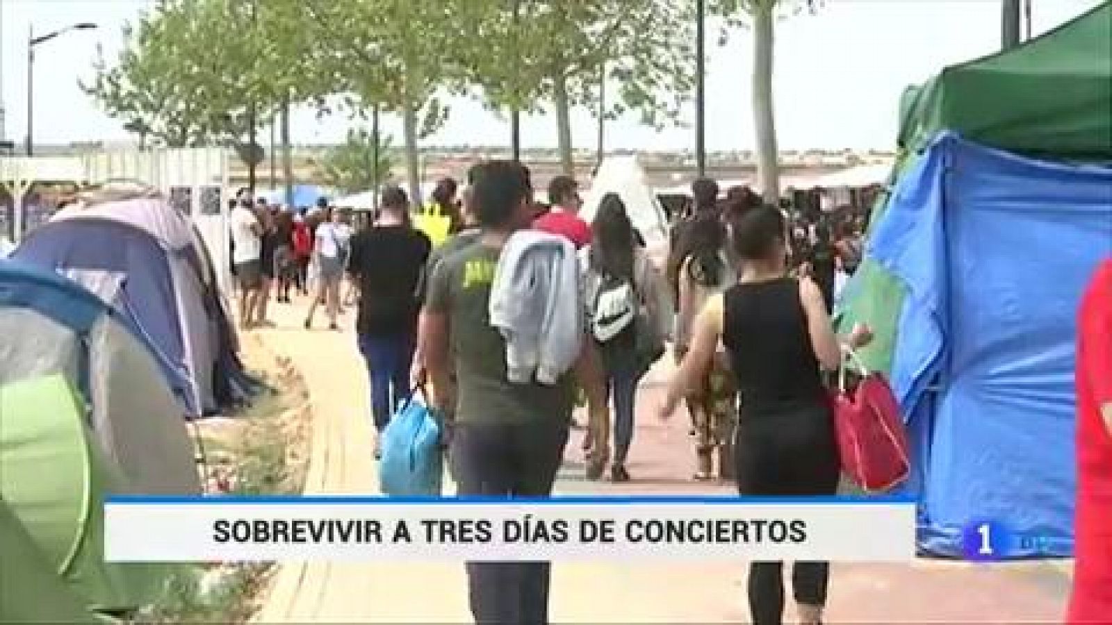 Miles de participantes hacen colas y disfrutan de cuatro días de festival