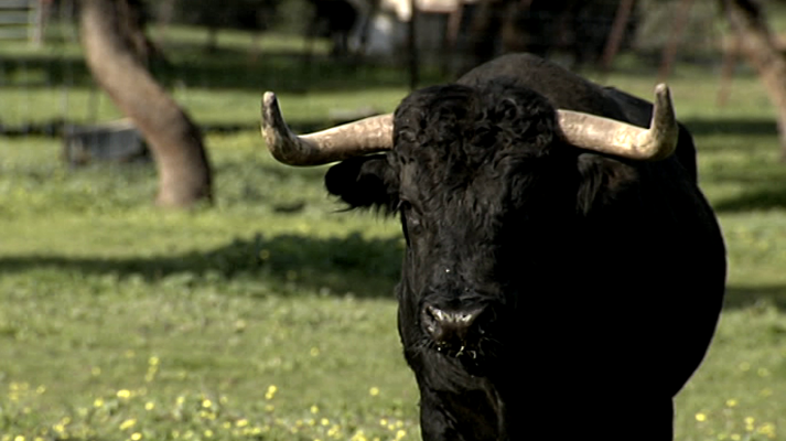 Tendido cero - Tendido Cero - 04/05/19