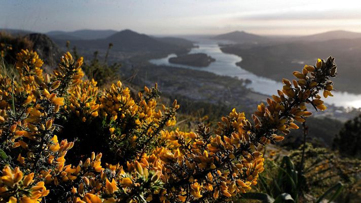 El tiempo - Cielos poco nubosos o despejados en todo el país