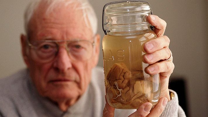 La noche temática - La inteligencia al descubierto