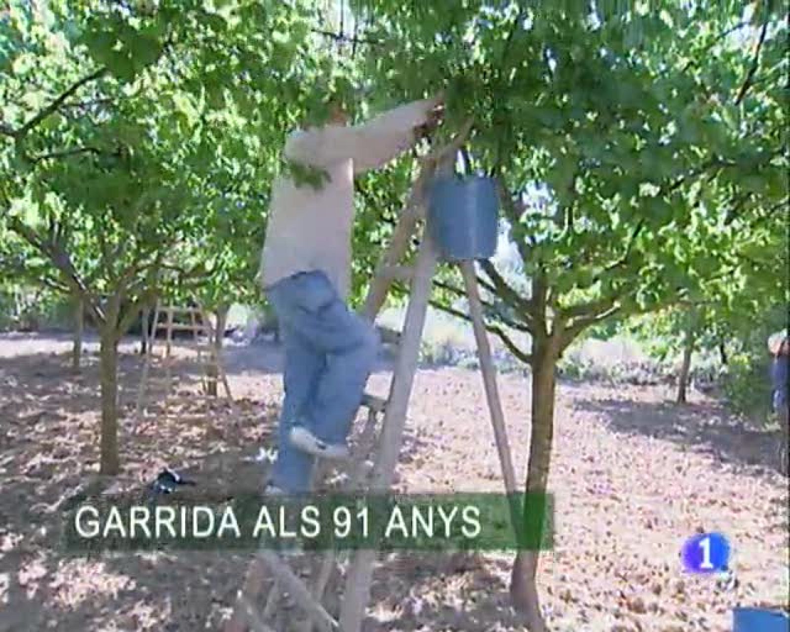 Informatiu Balear. Informatiu de les Illes Balears. (02/06/09)