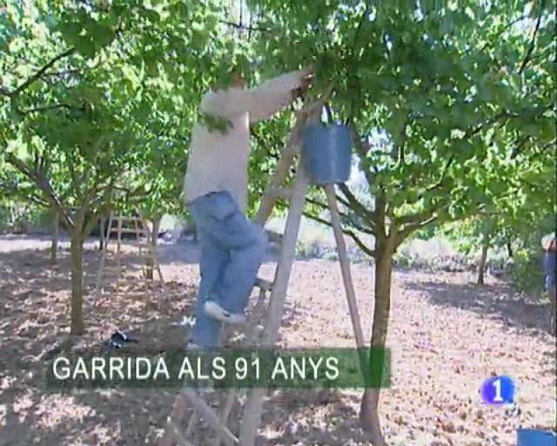  Informatiu Balear. Informatiu de les Illes Balears. (02/06/09)