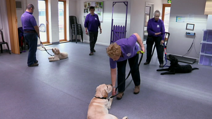 That's English - Module 9 - Unit 4B