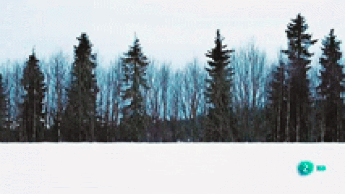 La aventura del Saber - LaBolsa: Gallego de Prada