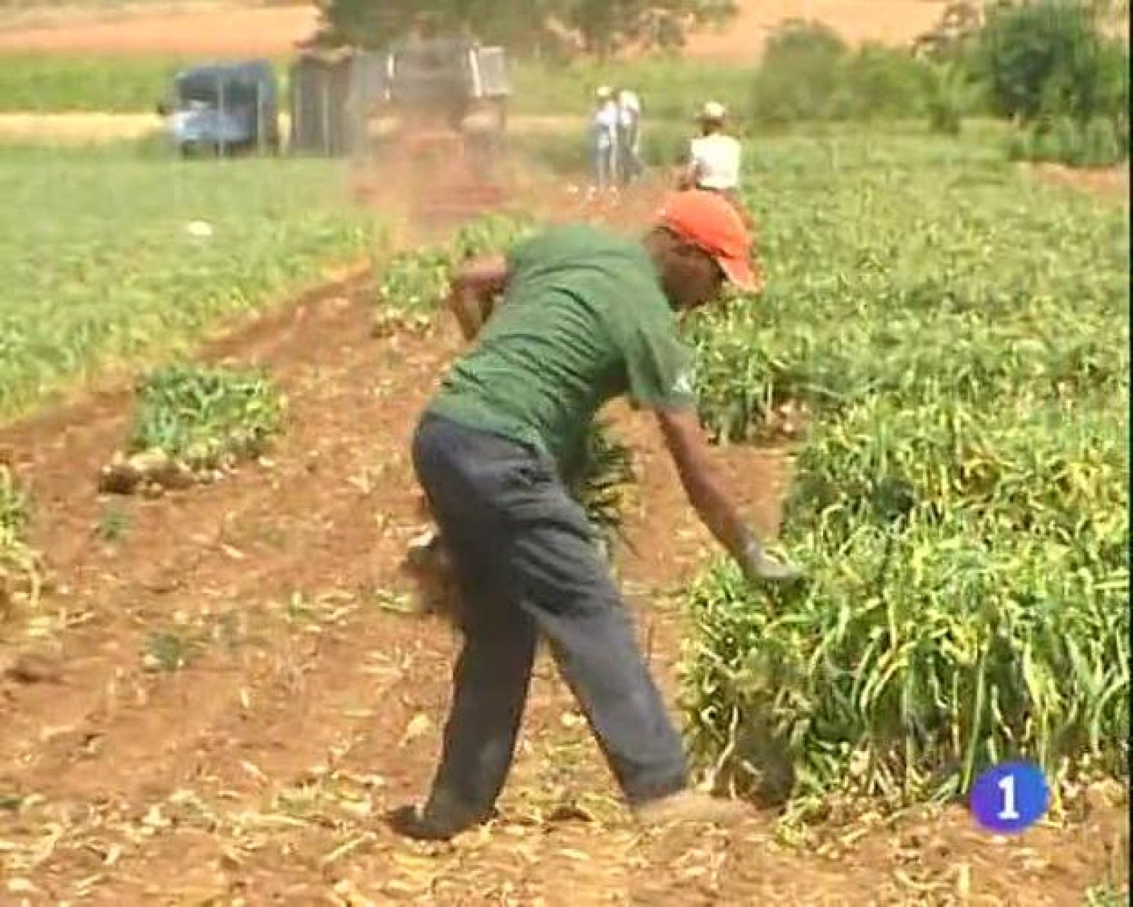  Noticias de Castilla-La Mancha. Informativo de Castilla-La Mancha.(03/06/09)