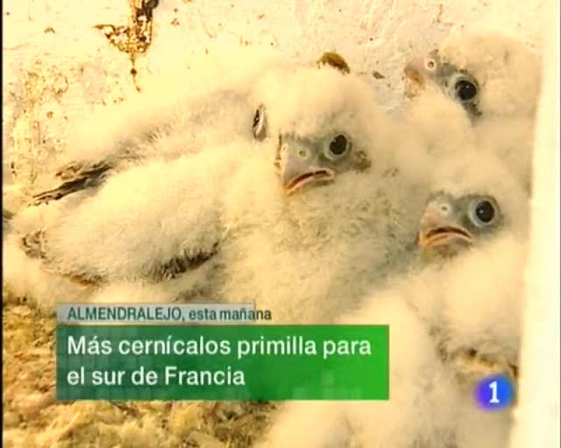 Noticias de Extremadura. Informativo territorial de Extremadura (03/06/09)