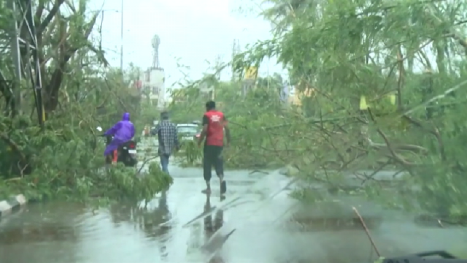 Teleplaneta - 06/05/2019 - Teleplaneta | Ver