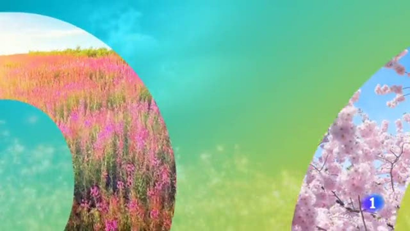 Informativo Telerioja: El tiempo en La Rioja - 07/05/19 | RTVE Play