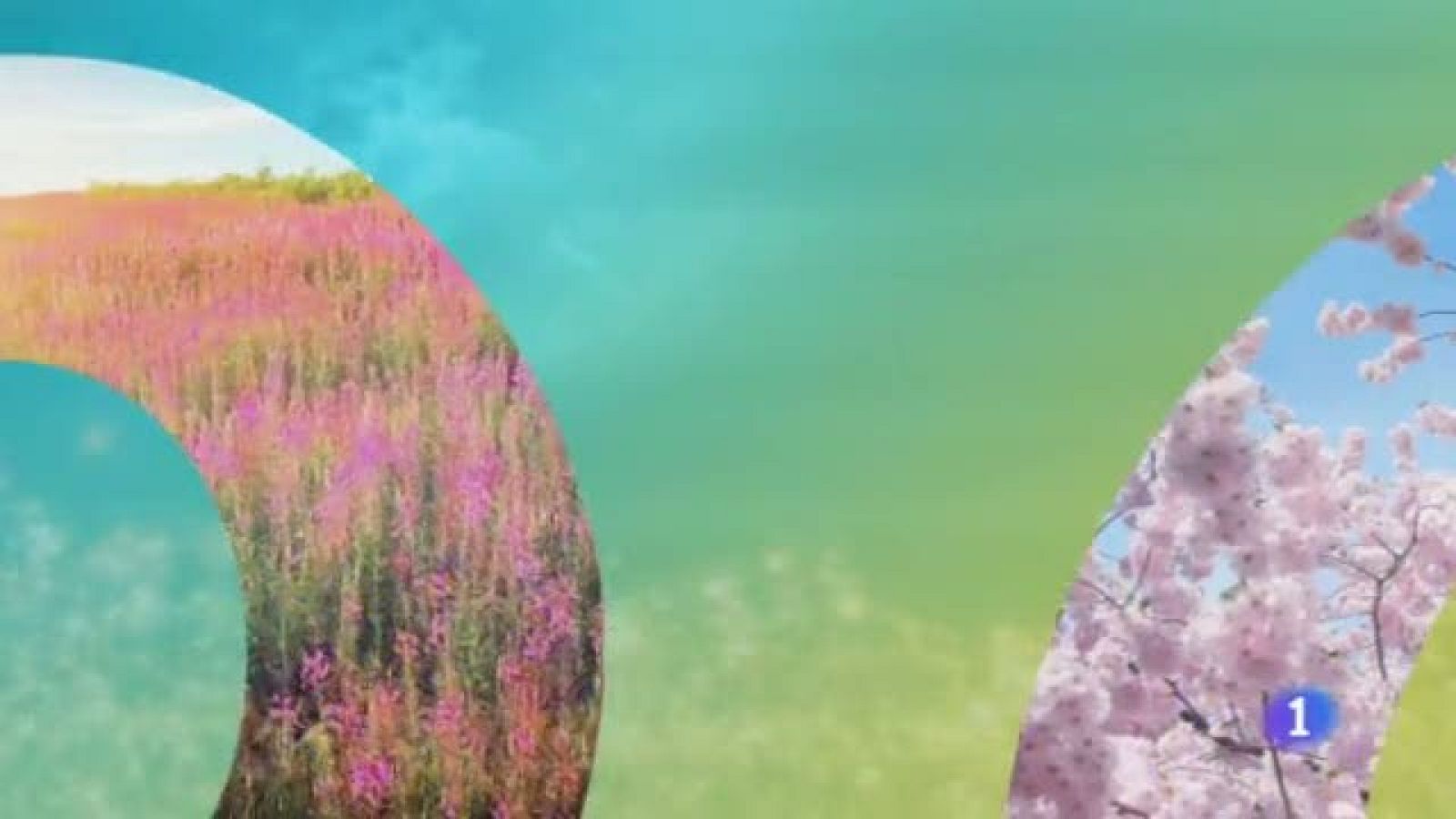 El Tiempo en Castilla-La Mancha - 08/05/19 | Ver