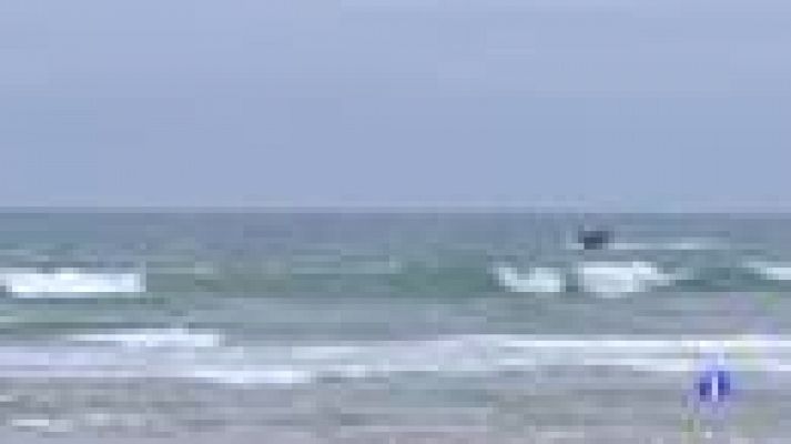 Noticias Andalucía - Noticias Andalucía - 8/5/2019