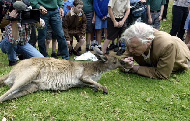 Attenborough, premio P. de Asturias