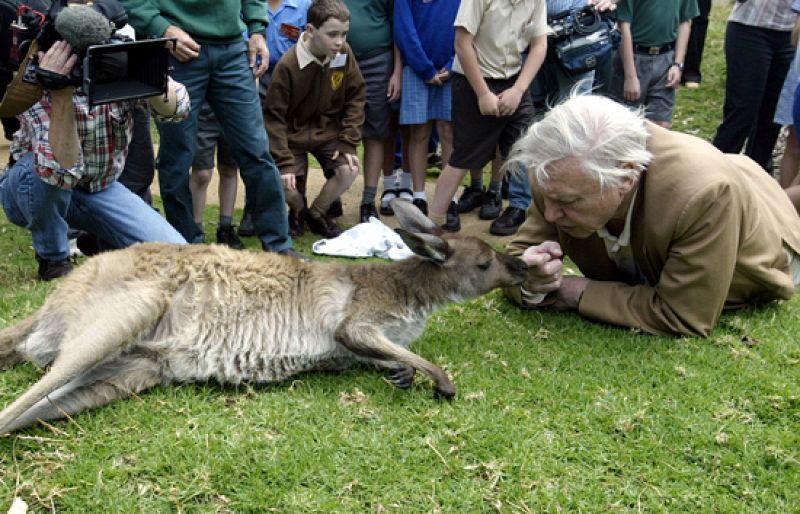 David Attenborough, Príncipe de Asturias de Ciencias Sociales