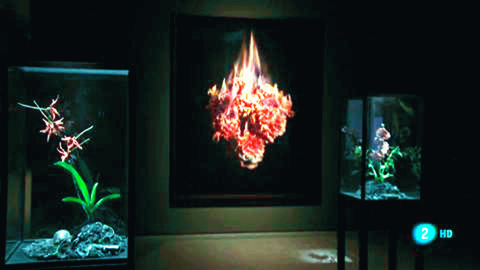 La aventura del saber. Mat Collishaw. Arte en el botánico