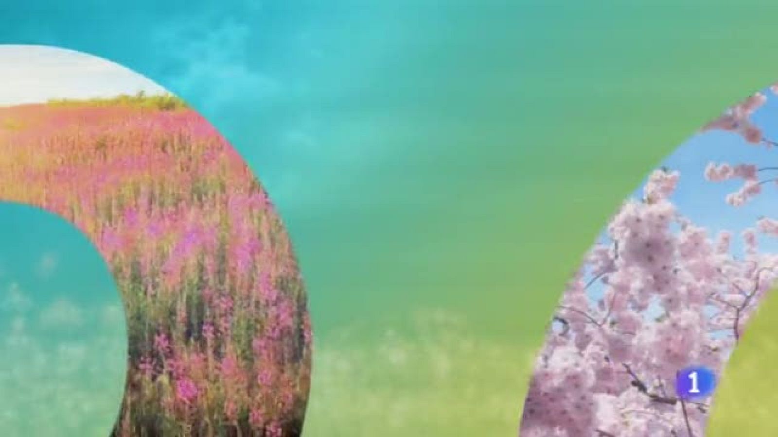 El Tiempo en Castilla-La Mancha - 10/05/19 | Ver