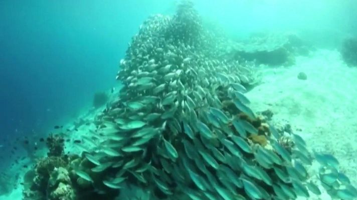 Agrosfera - Agrosfera - 11/05/19