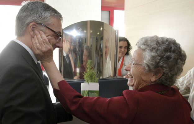  - Pinos en el Día del Medio Ambiente