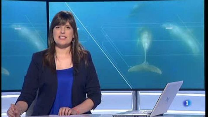 L'Informatiu - Cetacis amenaçats