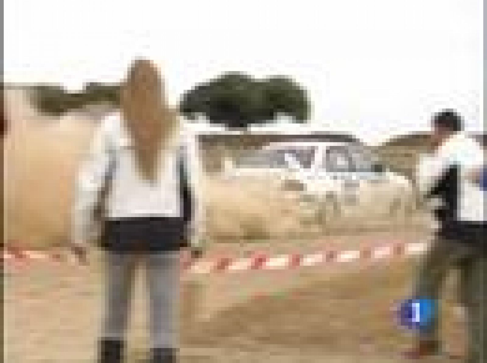 Reporteros: seguridad en los rallies | Ver