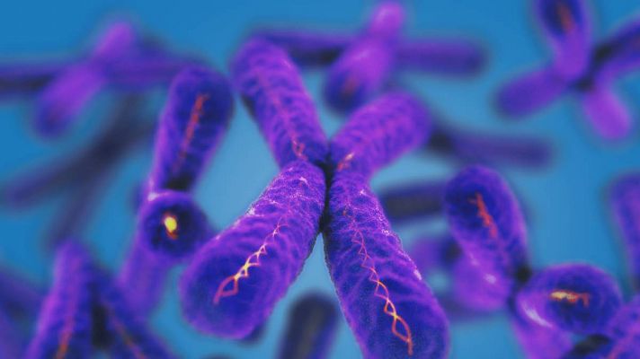 Curiosidades científicas - Acortamiento de cromosomas