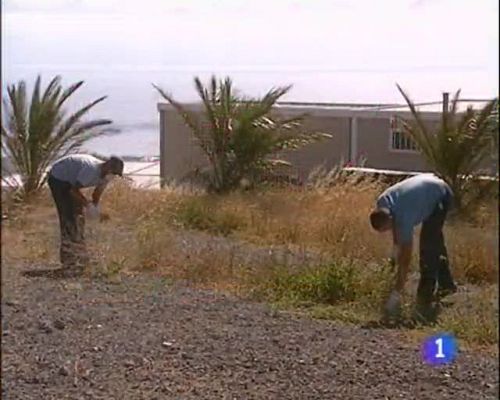 Telecanarias - Telecanarias - 05/06/09