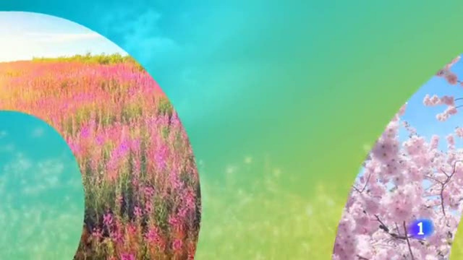 El tiempo en La Rioja - 13/05/19