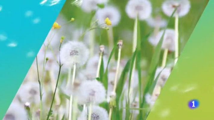 Noticias Aragón - El tiempo en Aragón - 13/05/2019