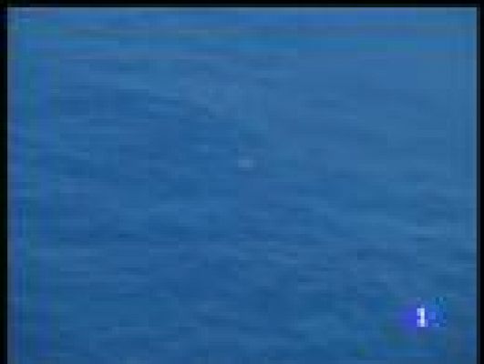  - Encuentran dos cuerpos en Brasil