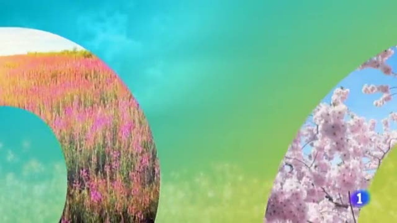 El Tiempo en la Region de Murcia - 14/05/2019