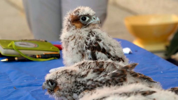 Informativo de Madrid 2 - 14/05/19