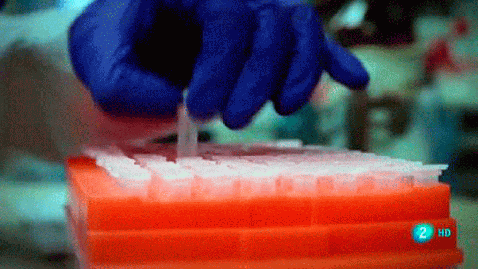 La aventura del saber. Noticiero Científico y Cultural Iberoamericano (NCC)