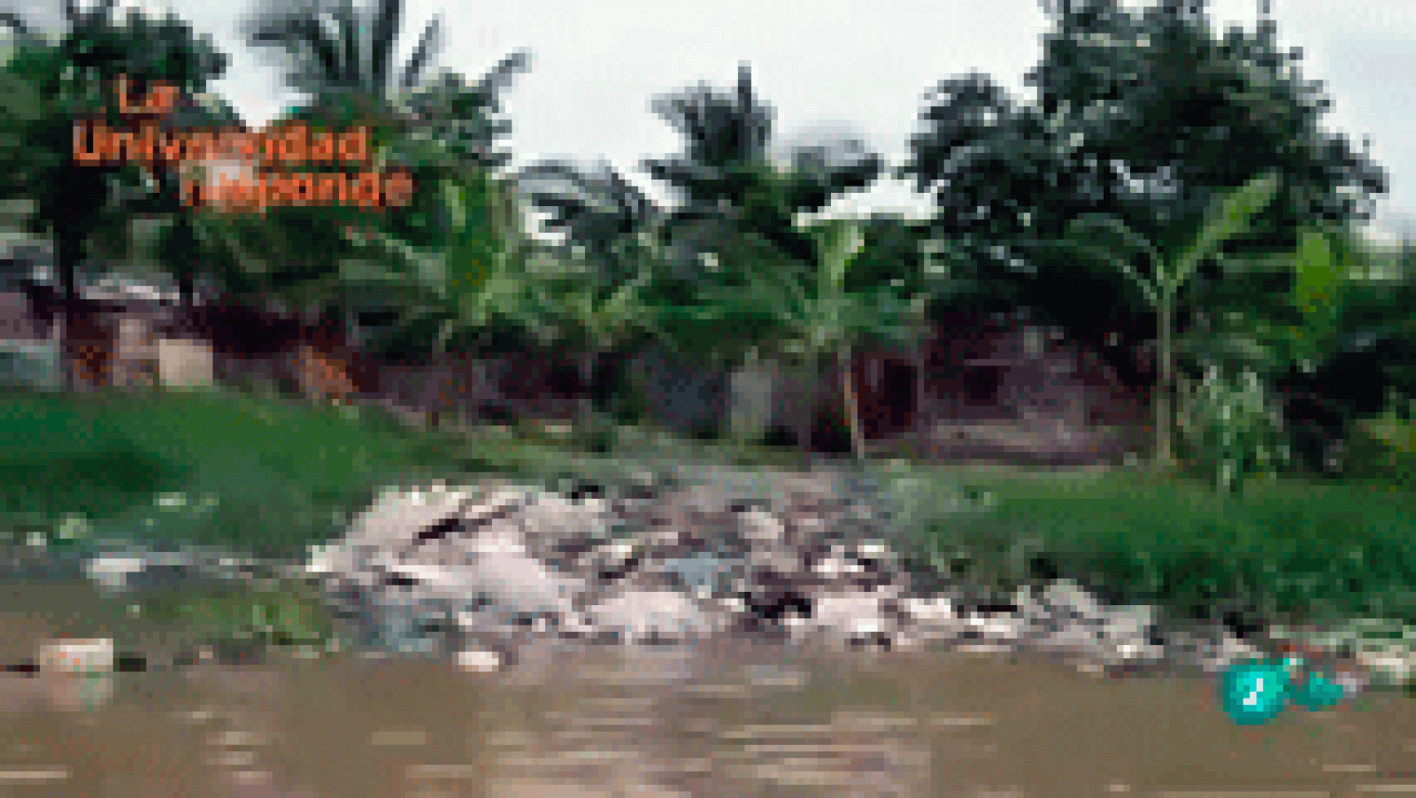 La aventura del Saber: ¿Se puede recuperar un río muy contaminado? | RTVE Play
