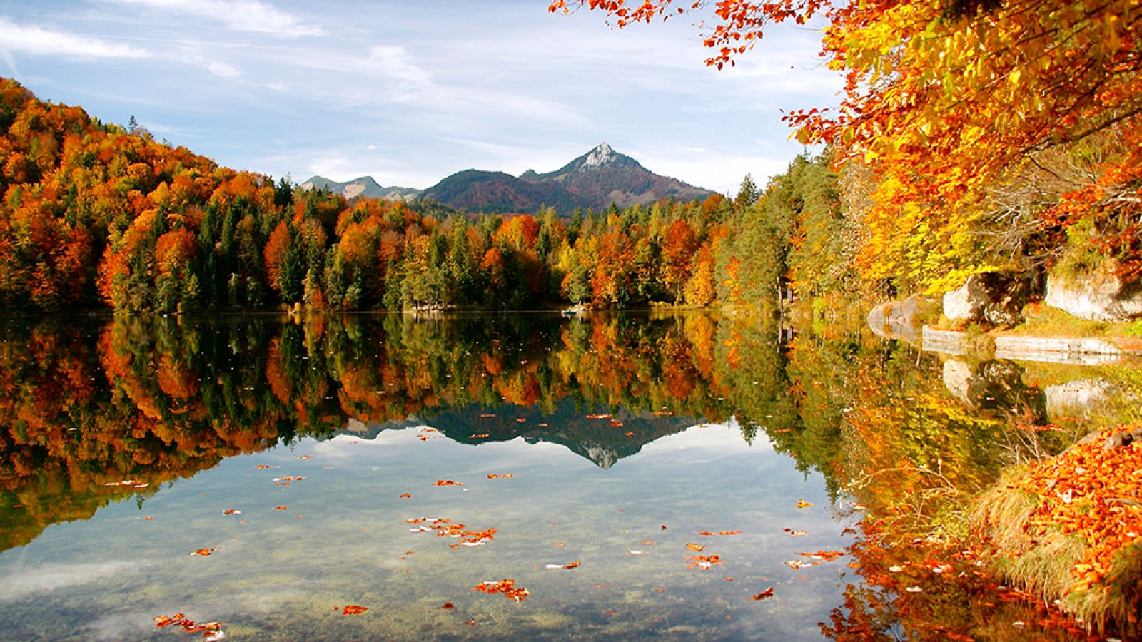 Grandes documentales - El año de la naturaleza canadiense: otoño