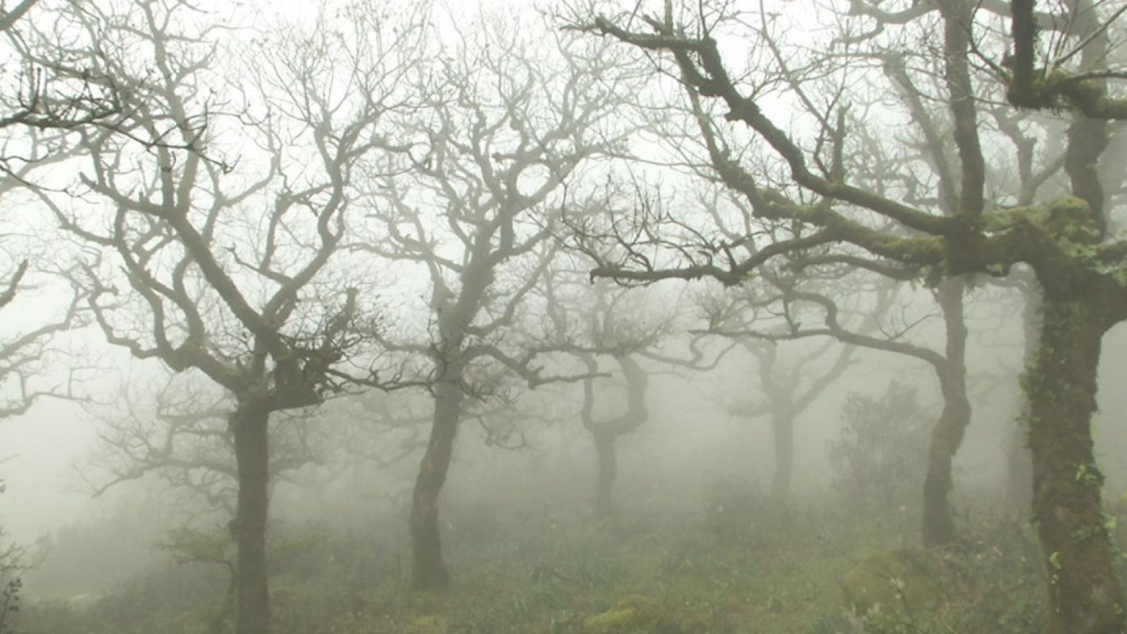 Aquí la Tierra - 14/05/19 - ver ahora