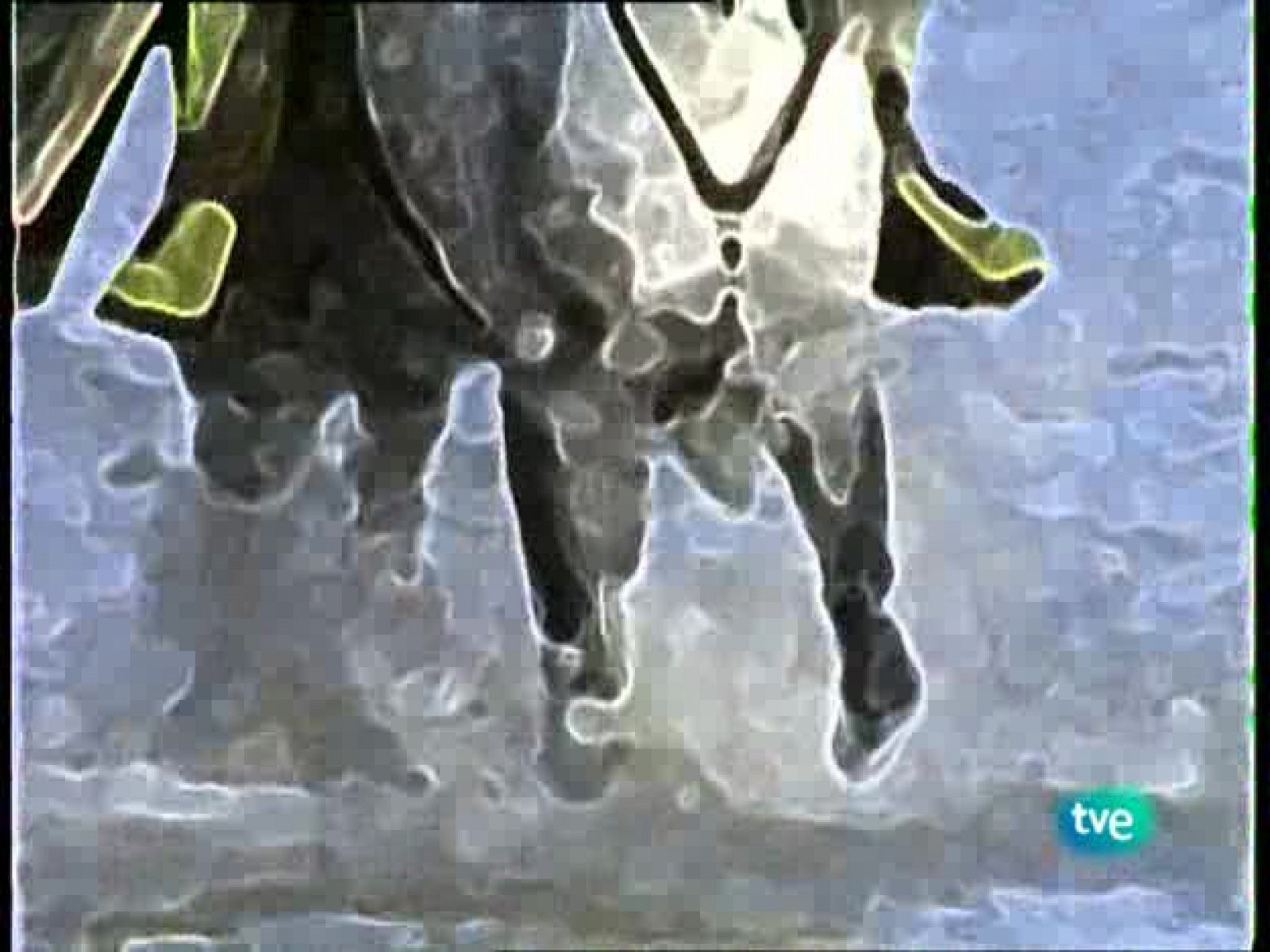 Unidad de Naturaleza - Castas del Llano y la marisma - Unidad de naturaleza | Ver