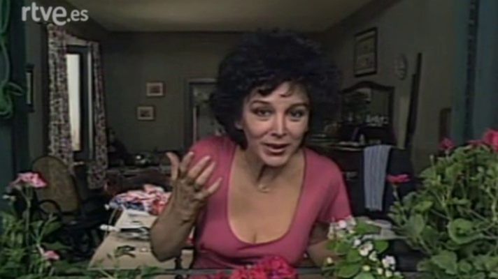 Descartes - 21/4/1988