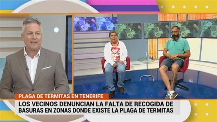 Cerca de ti - Cerca de ti - 15/05/2019