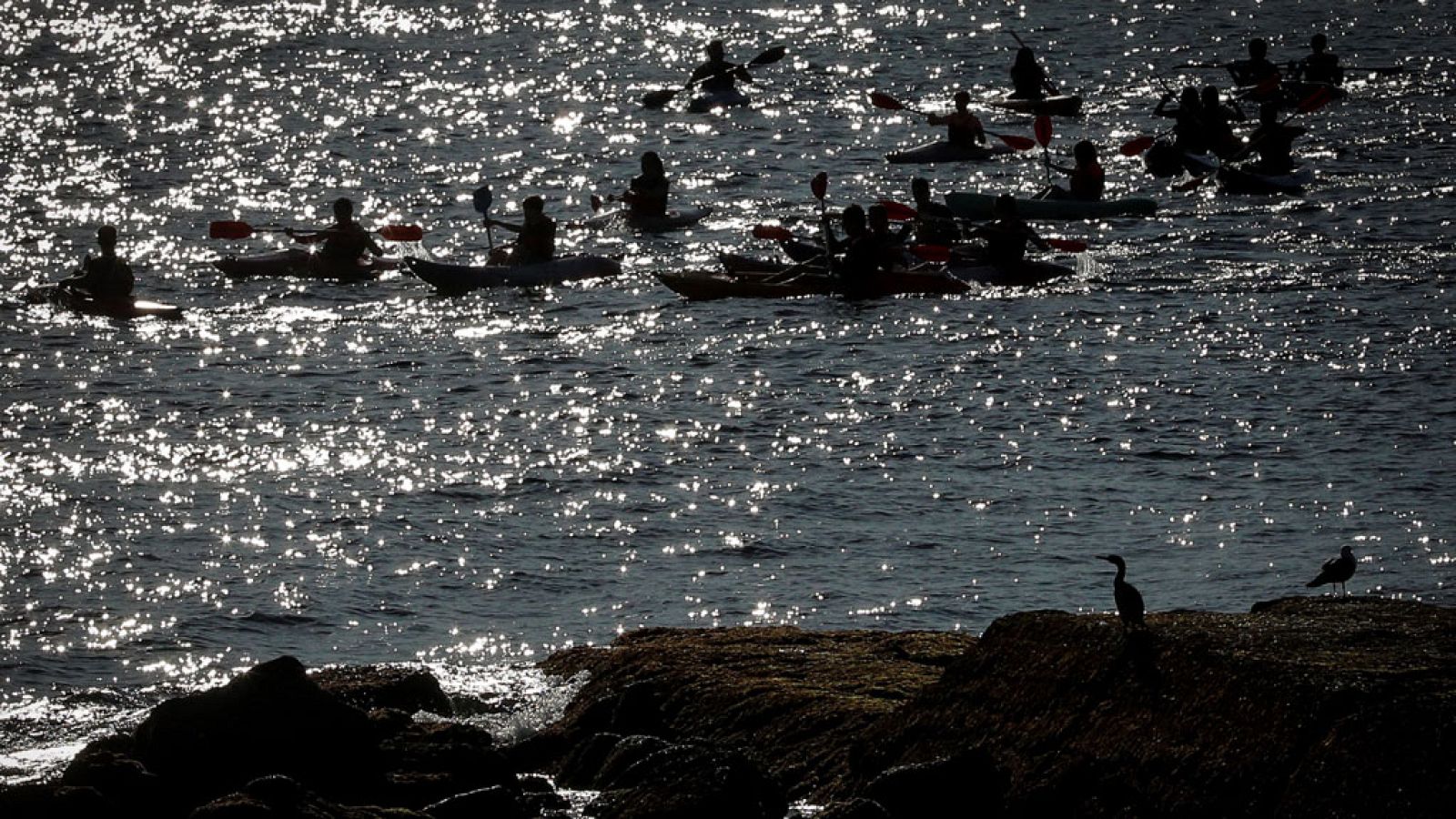 Cielos poco nubosos o con nubes altas en la mayor parte del país