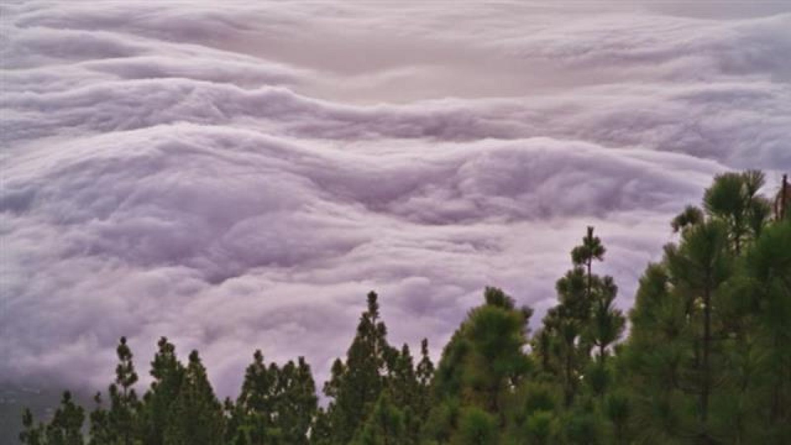 Telecanarias - 15/05/2019