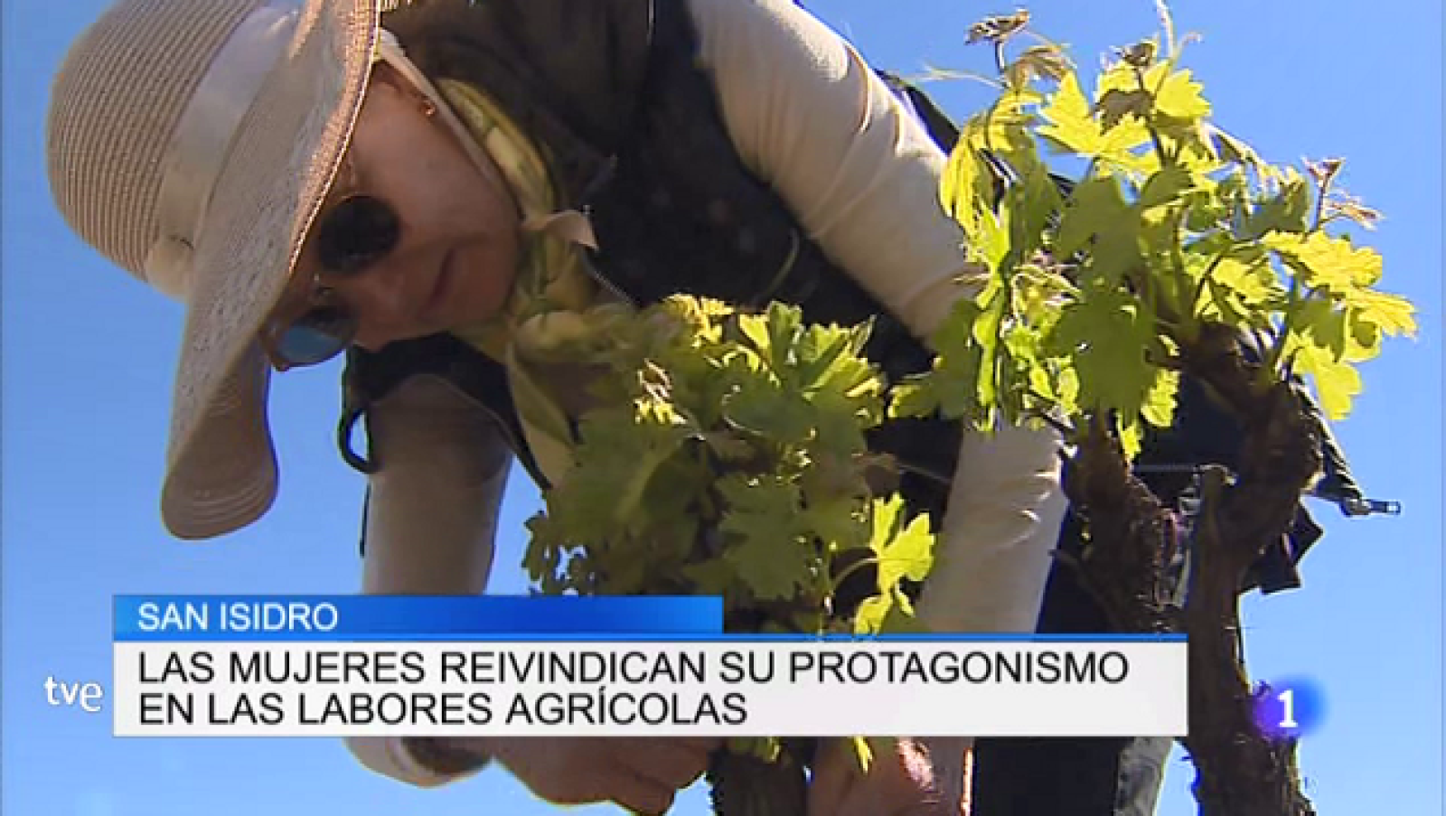 Telerioja en 2' - 15/05/19