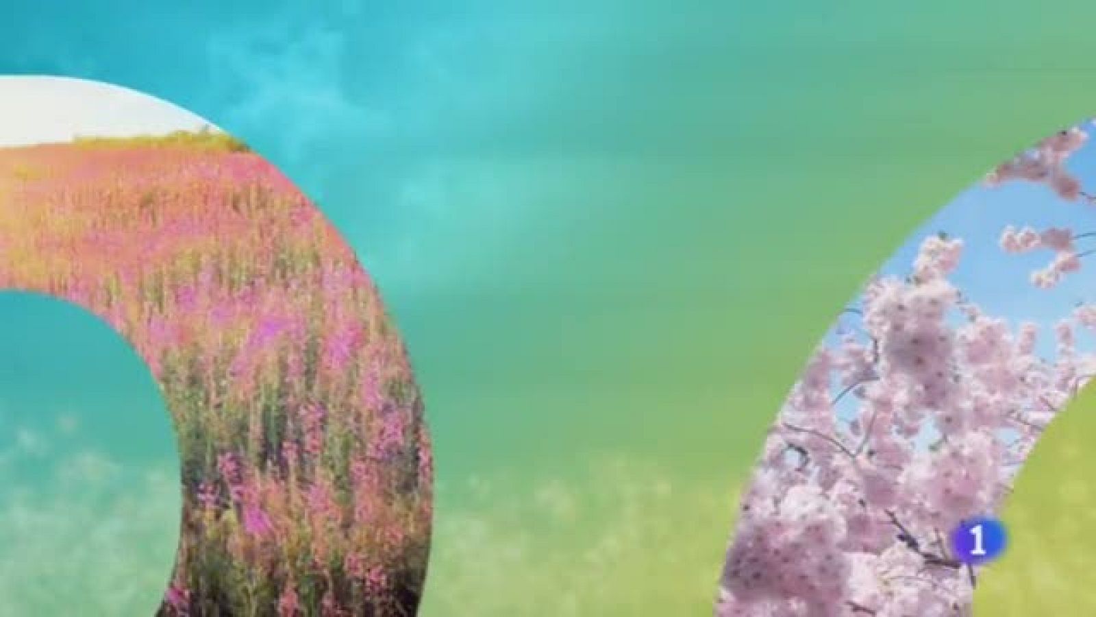 El Tiempo en Castilla-La Mancha - 16/05/19 | Ver