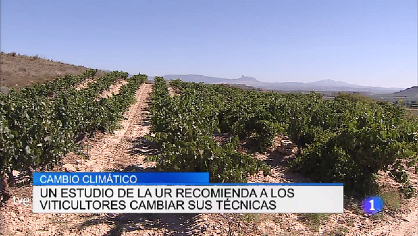 Telerioja en 2' - 16/05/19