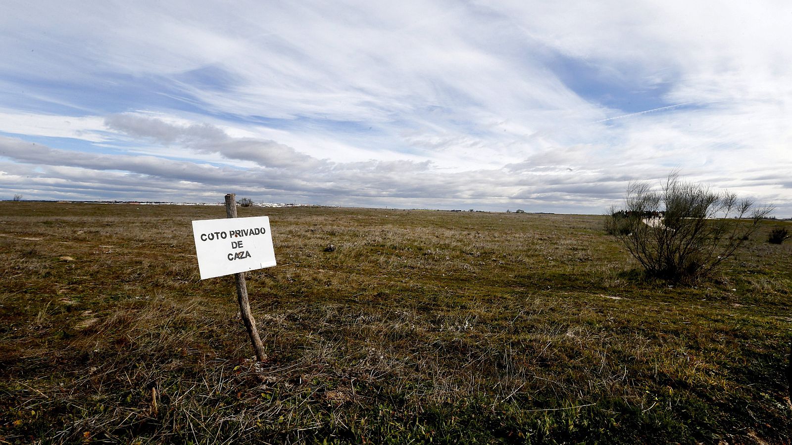 Un tribunal de Navarra ha dictado la sentencia más contundente contra el envenenamiento de aves rapaces. Ha impuesto dos años y ocho meses de cárcel a dos presidentes y un guarda de cotos de caza por colocar cebos envenenados que provocaron la muerte