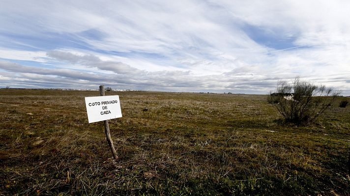 Telediario 1 - Dos años y ocho meses por envenenar a aves