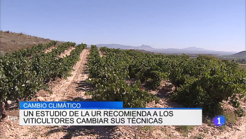  Informativo Telerioja - 16/05/19