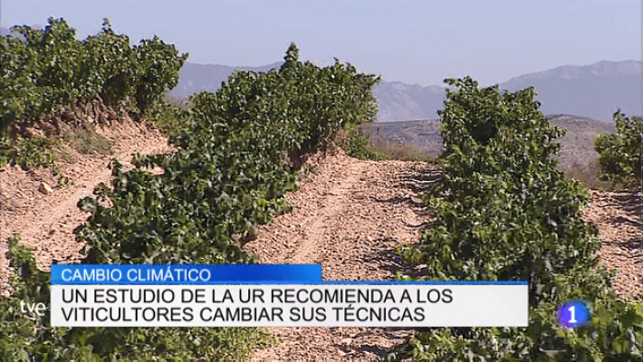 Informativo Telerioja - Informativo Telerioja 2 - 16/05/19