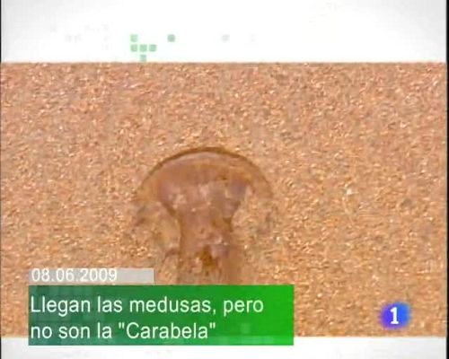 TeleCantabria - Telecantabria - 08/06/09