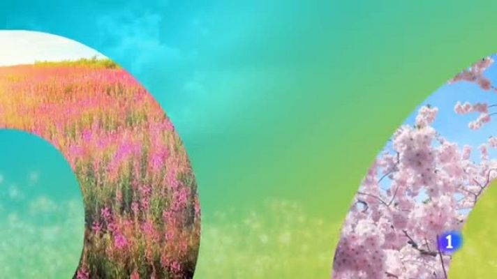 Noticias Aragón - El tiempo en Aragón - 17/05/2019