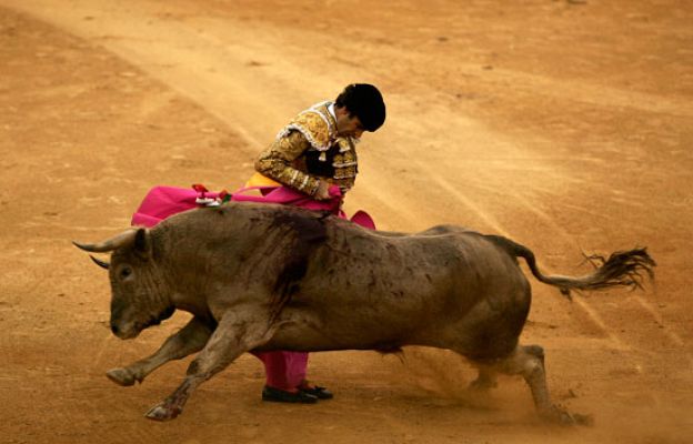 José Tomás, 'Oreja de Oro'